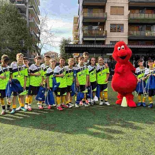 Successo per il torneo benefico a Collegno Successo per il torneo benefico a Collegno