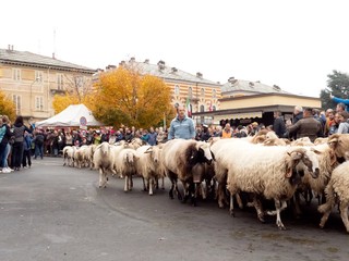 (Foto di Christian Bosio) (Foto di Christian Bosio)