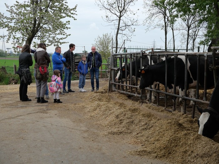 Pianezza ospita la stalla dei record in Piemonte