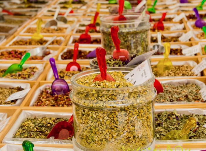 QuintEssenza a Savigliano: le erbe officinali tra botanica e cucina