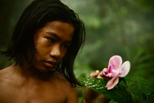 “The Garden of Earthly Delights”