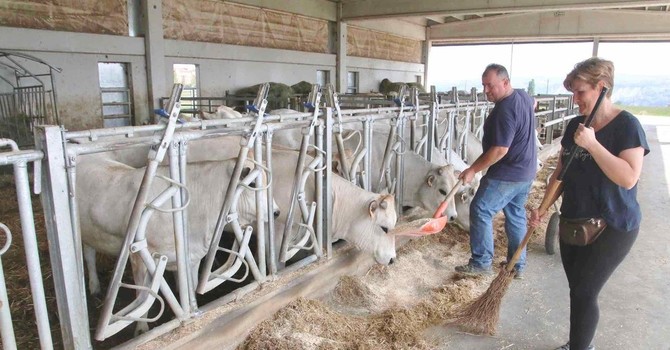 Dai cantieri, alle tavole, ai vaccini: i numeri della prevenzione in Piemonte