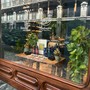 In Galleria Subalpina apre Dispensa: hub del gusto firmato Compagnia dei Caraibi