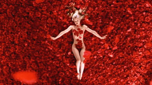 American Beauty American Beauty