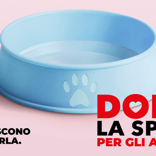 Sabato torna l'appuntamento con “Dona la Spesa per gli amici animali” Sabato torna l'appuntamento con “Dona la Spesa per gli amici animali”