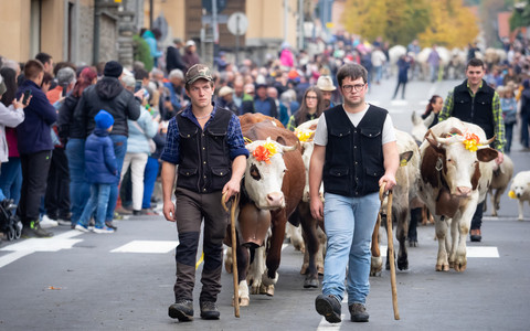 (Foto di Christian Bosio)