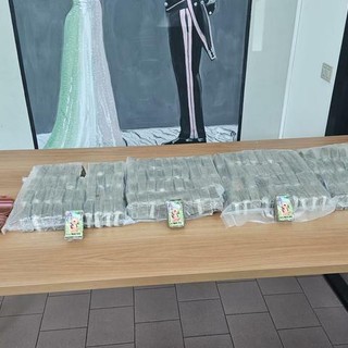 Spari nella notte e chili di droga nel Canavese: maxi-blitz all’alba, due arresti e sette denunce [VIDEO]