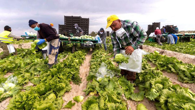 &quot;Il Piemonte può essere modello contro lo sfruttamento lavorativo”
