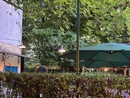 Alla scoperta di Imbianchini e decoratori Alla scoperta di Imbianchini e decoratori
