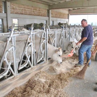 Dai cantieri, alle tavole, ai vaccini: i numeri della prevenzione in Piemonte