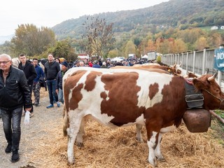 (Foto di Christian Bosio) (Foto di Christian Bosio)