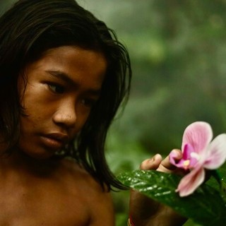 “The Garden of Earthly Delights” “The Garden of Earthly Delights”