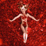 American Beauty American Beauty