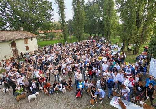 Tutti pazzi per i bulldog: a Torino il più grande raduno nazionale dei cani inglesi