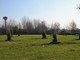 Una Grugliasco più verde: quasi 300 gli alberi piantumati a marzo
