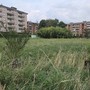 Il Bosco urbano partecipato di Pinerolo ora diventa un’eredità Il Bosco urbano partecipato di Pinerolo ora diventa un’eredità