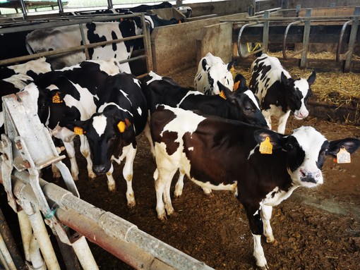 Nominato il nuovo Consiglio di Amministrazione della cooperativa Piemonte Latte