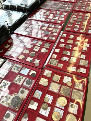 A Grugliasco "Molephil 2026": prima giornata per il convegno filatelico e numismatico A Grugliasco "Molephil 2026": prima giornata per il convegno filatelico e numismatico