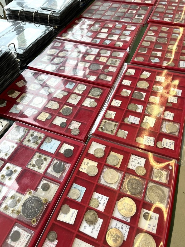 A Grugliasco "Molephil 2026": prima giornata per il convegno filatelico e numismatico