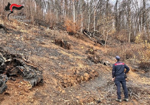 Incendio boschivo a Coassolo Torinese: individuato il presunto responsabile Incendio boschivo a Coassolo Torinese: individuato il presunto responsabile