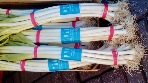 Mostra Mercato del Porro lungo e dolce di Carmagnola: tradizione, gusto e orgoglio piemontese Mostra Mercato del Porro lungo e dolce di Carmagnola: tradizione, gusto e orgoglio piemontese