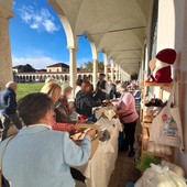 associazione Amici Scuola Leumann