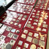 A Grugliasco "Molephil 2026": prima giornata per il convegno filatelico e numismatico