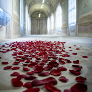 foto di archivio