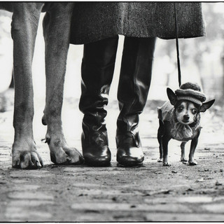 [Photo credits: ELLIOTT ERWITT - New York City, 1974]