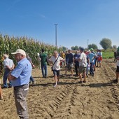 Risultati e nuovi scenari del settore maidicolo al Pignatelli Day