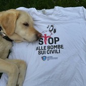 Da Gaza all'Ucraina, alla Scuola Holden &quot;80º Natale di pace&quot; con le vittime civili di guerra