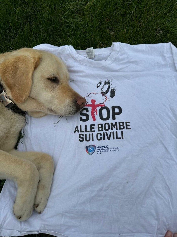 Da Gaza all'Ucraina, alla Scuola Holden "80º Natale di pace" con le vittime civili di guerra Da Gaza all'Ucraina, alla Scuola Holden "80º Natale di pace" con le vittime civili di guerra