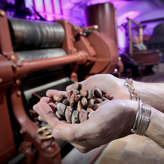 Immagine di repertorio