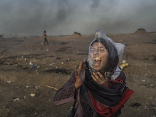Alcune immagini della mostra