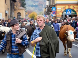 (Foto di Christian Bosio) (Foto di Christian Bosio)