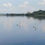 Cigni al lago di Candia