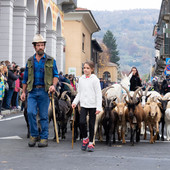 (Foto di Christian Bosio) (Foto di Christian Bosio)