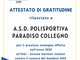 La Polisportiva Paradiso Collegno premiata per l'impegno a favore dei bambini malati di cancro La Polisportiva Paradiso Collegno premiata per l'impegno a favore dei bambini malati di cancro