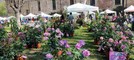 A Carmagnola la festa della primavera tra gusto e natura