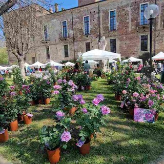 A Carmagnola la festa della primavera tra gusto e natura A Carmagnola la festa della primavera tra gusto e natura