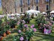 A Carmagnola la festa della primavera tra gusto e natura A Carmagnola la festa della primavera tra gusto e natura