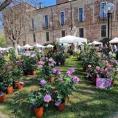 A Carmagnola la festa della primavera tra gusto e natura A Carmagnola la festa della primavera tra gusto e natura