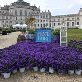 La Palazzina di Stupinigi diventa la 'residenza del green' con Anteprima Floreal