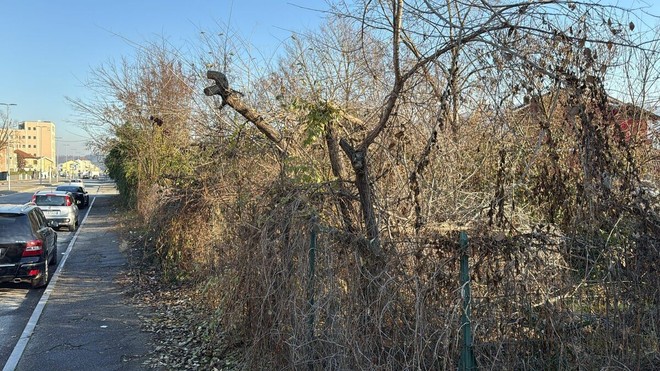 Area abbandonata davanti al parco Le Vele: “Da 3 anni chiediamo interventi”