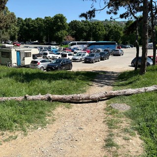 L'albero caduto vicino al piazzale