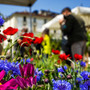 Nuovo appuntamento con Agriflor