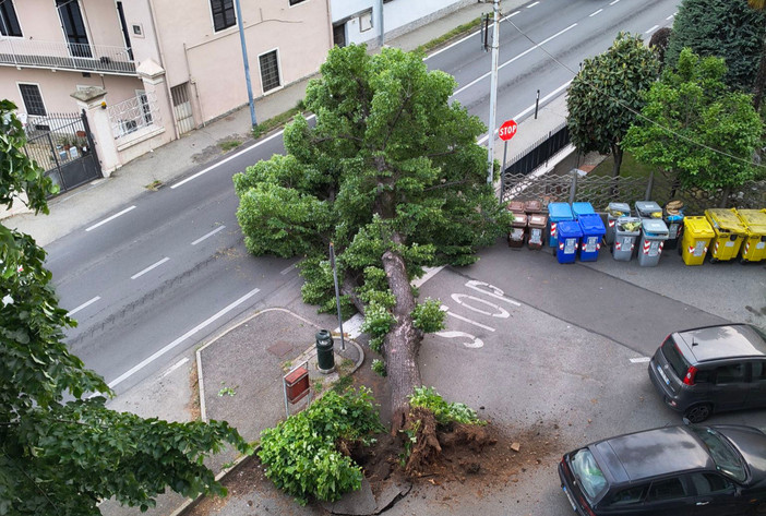 Foto di Marco Andruetto - tratta dalla pagina Facebook "Sei di Piossasco se.."