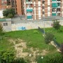 L'area cani delle polemiche in via Pinchia