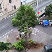 Foto di Marco Andruetto - tratta dalla pagina Facebook "Sei di Piossasco se.."