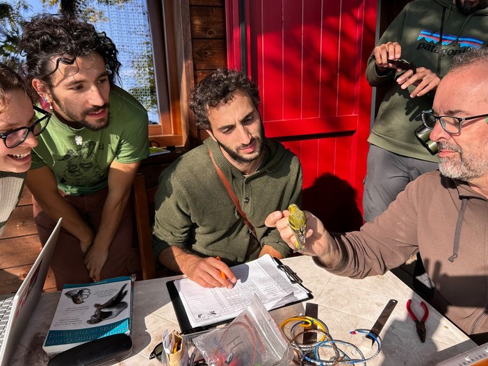 Gli inanellatori sono tornati al Colle Vaccera: oltre 20mila uccelli monitorati Gli inanellatori sono tornati al Colle Vaccera: oltre 20mila uccelli monitorati
